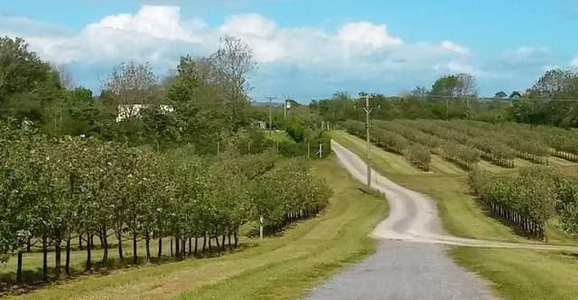 Family Walks in Weston-super-Mare